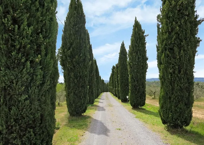 아파트 Le Palaie - 'mangiatoia' By Interhome *